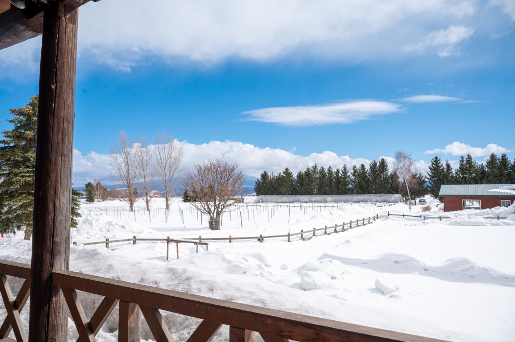 ノーザンスターロッジから