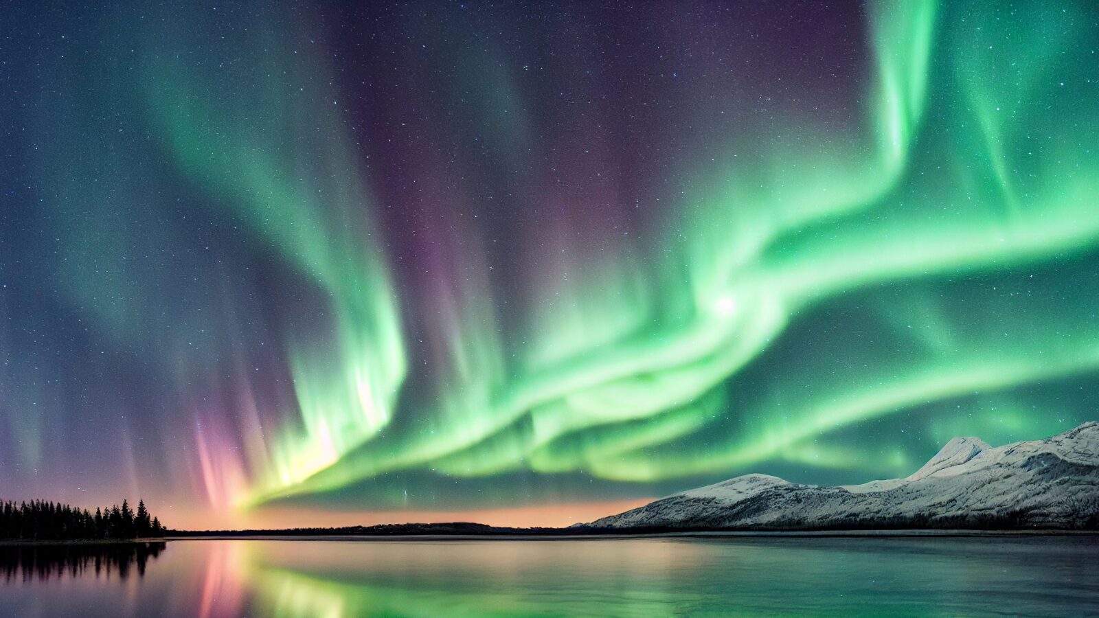 オーロラメイン