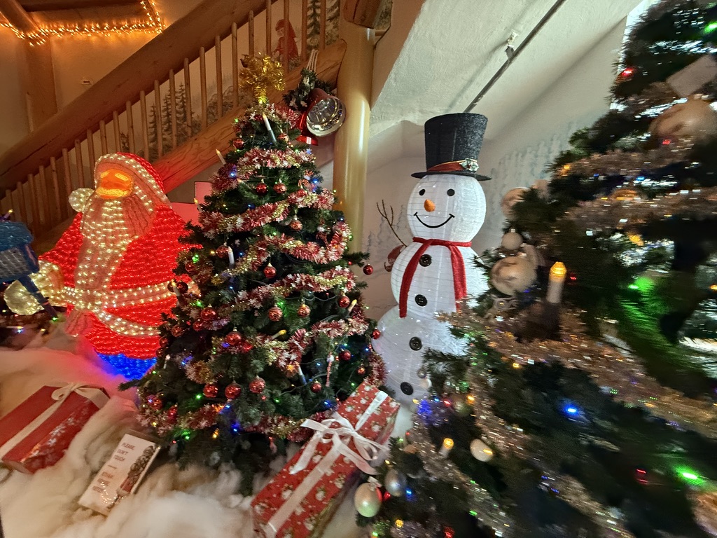 サンタクロース村ショッピング