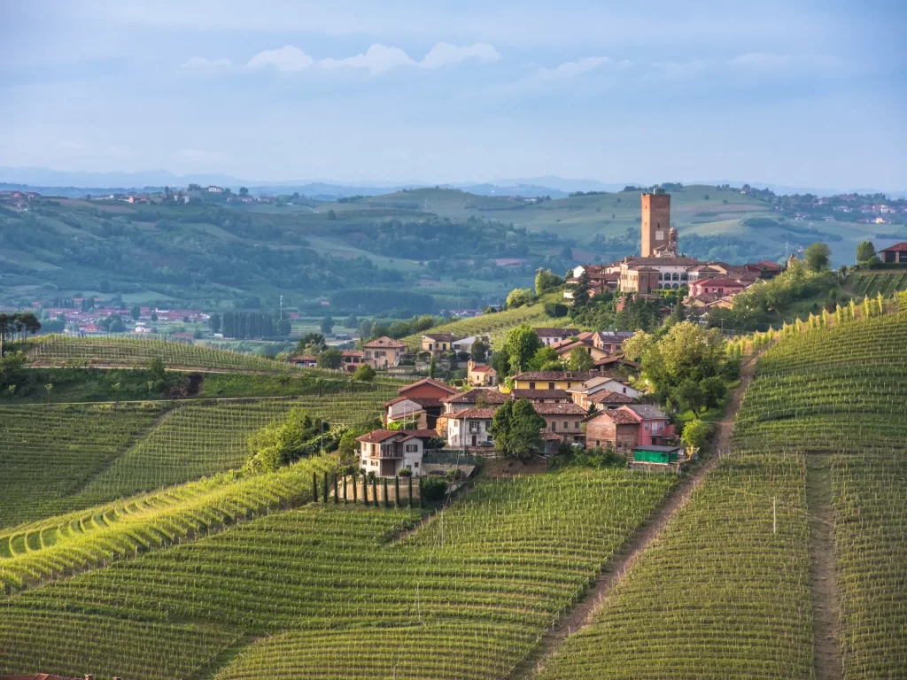 Barolo
