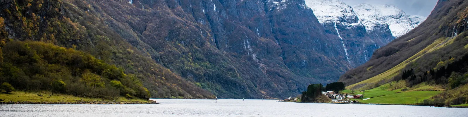 Norwegian Fjord